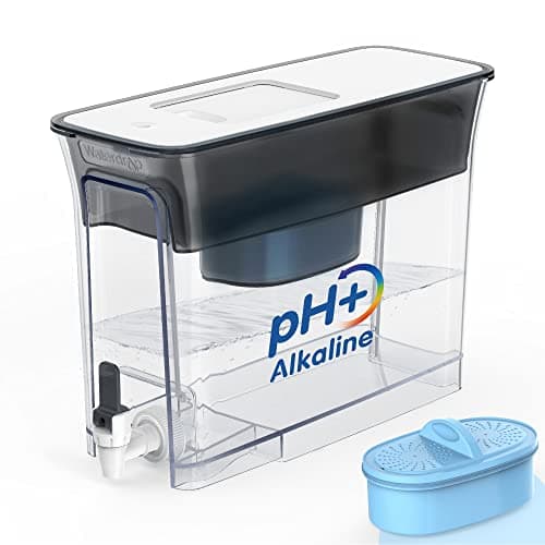 Best Ph Water Filter